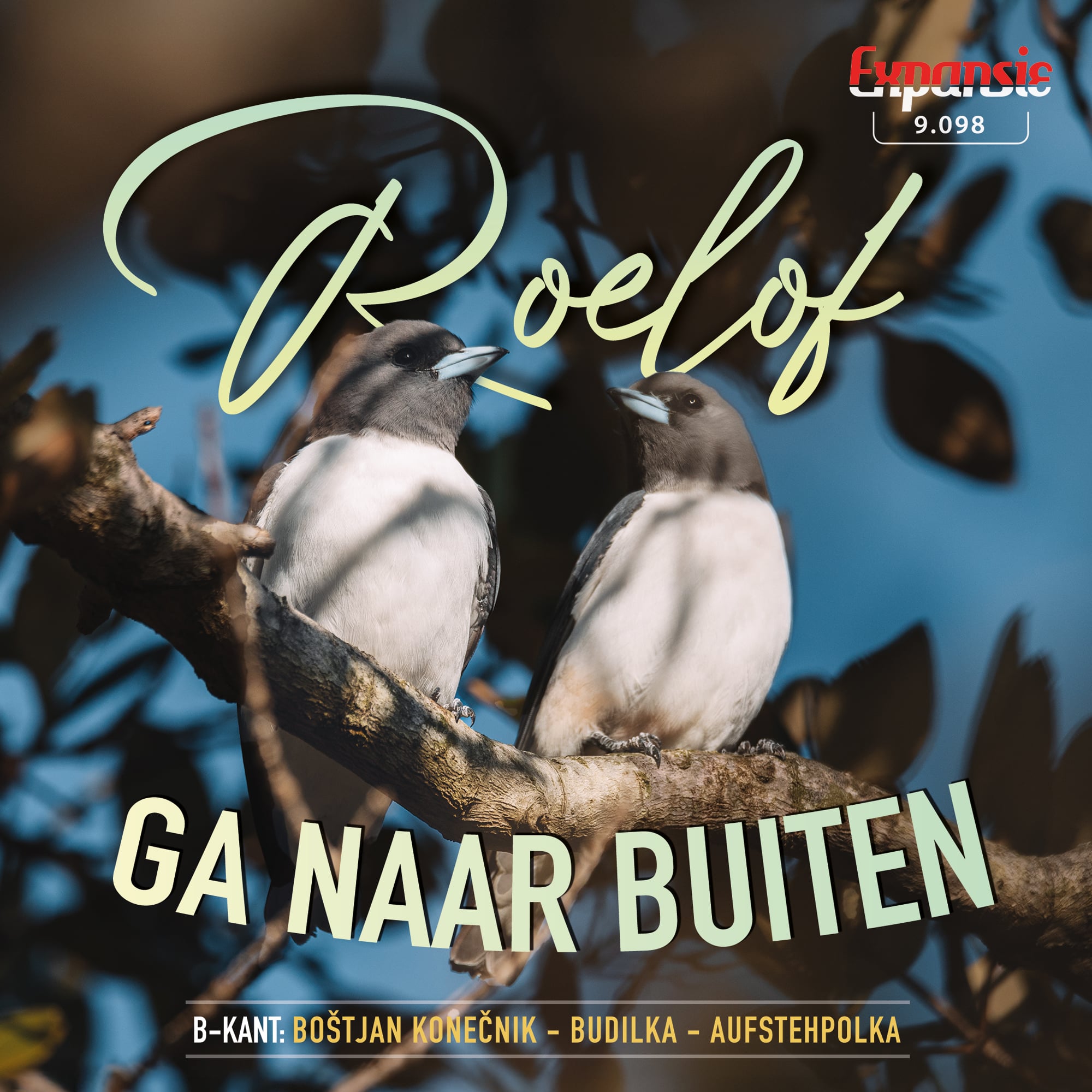 Roelof /  Bostjan konecnik - Ga Naar Buiten - Budilka-Aufstehpolka
